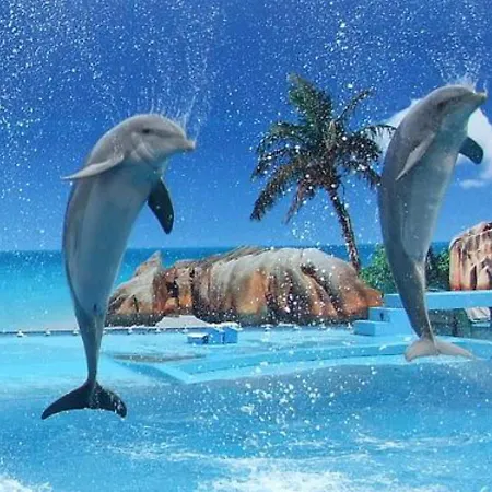 Апартаменты Charming 2-bed In Olhos De Agua Албуфейра